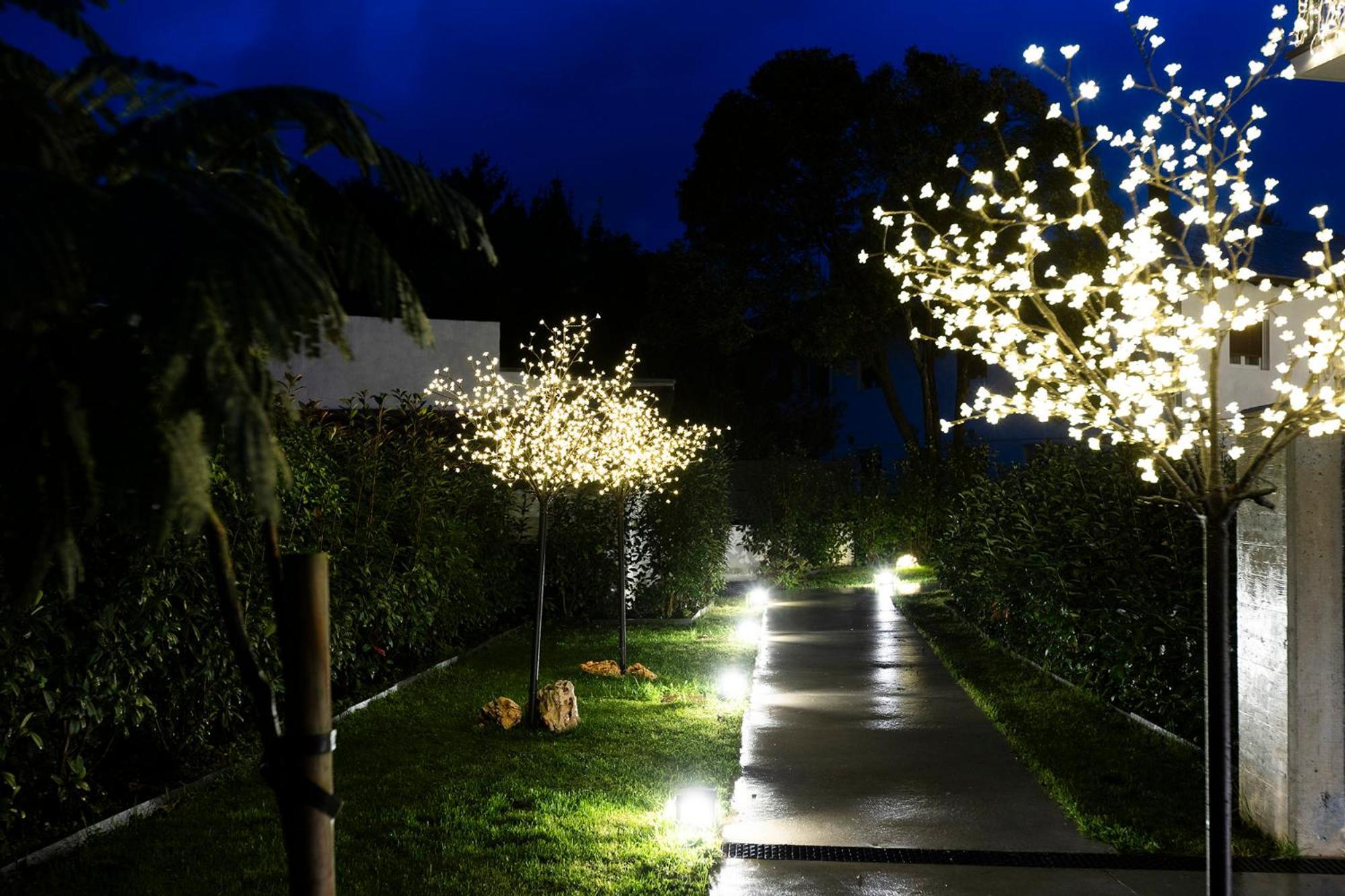 Ama Guadalupekoa by Basquelidays Apartment Hondarribia Bagian luar foto